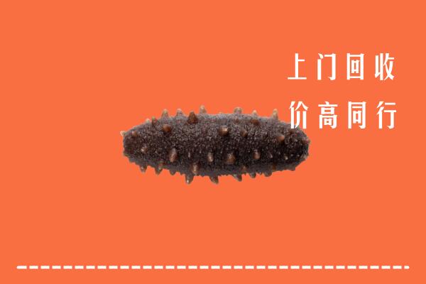 梅州回收海参